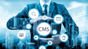 Content Management Systems (CMS)