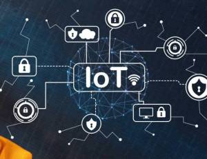 Internet of Things Development