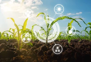 Smart Agriculture